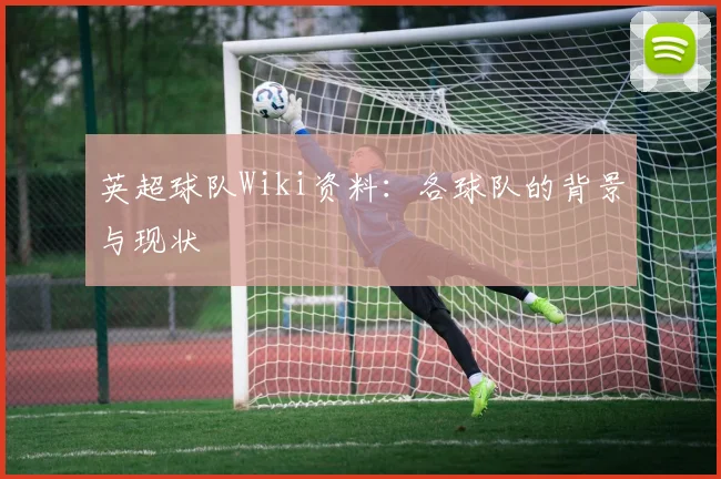 英超球队Wiki资料：各球队的背景与现状